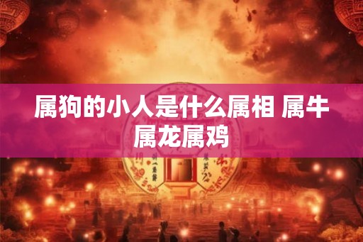 属狗的小人是什么属相 属牛属龙属鸡