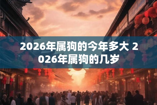 2026年属狗的今年多大 2026年属狗的几岁