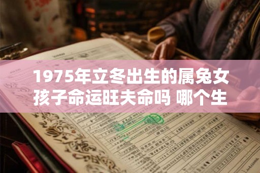 1975年立冬出生的属兔女孩子命运旺夫命吗 哪个生肖最旺兔