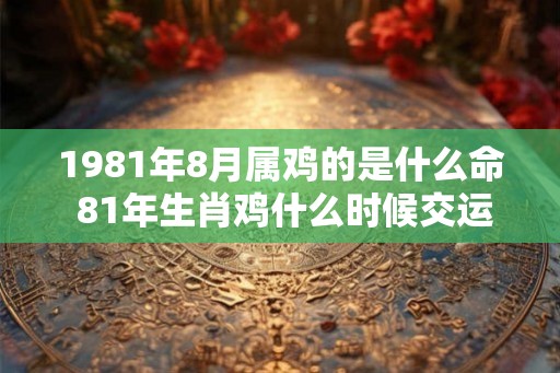 1981年8月属鸡的是什么命 81年生肖鸡什么时候交运
