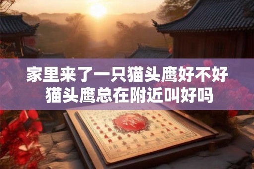 家里来了一只猫头鹰好不好 猫头鹰总在附近叫好吗
