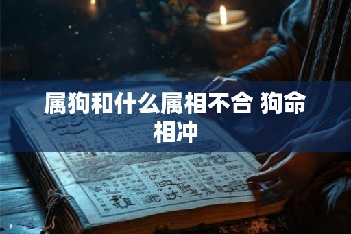 属狗和什么属相不合 狗命相冲 属狗和什么属相不合 狗命相冲