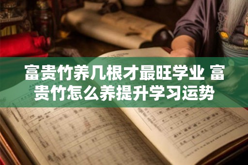 富贵竹养几根才最旺学业 富贵竹怎么养提升学习运势 富贵竹养几根才最旺学业 富贵竹怎么养提升学习运势