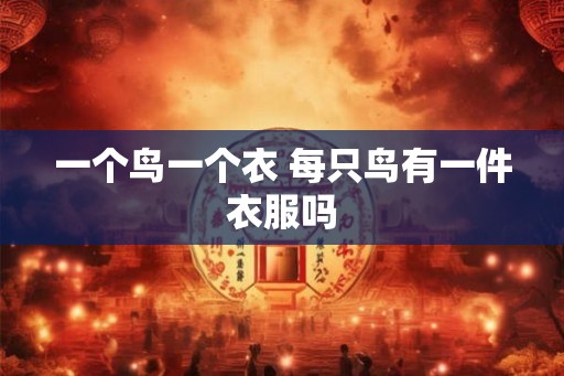 一个鸟一个衣 每只鸟有一件衣服吗 一个鸟一个衣 每只鸟有一件衣服吗