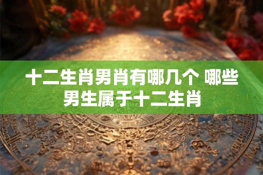 十二生肖男肖有哪几个 哪些男生属于十二生肖