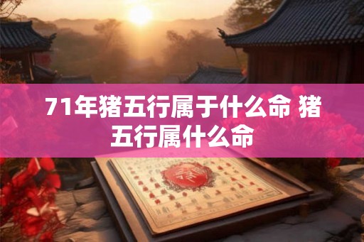71年猪五行属于什么命 猪五行属什么命