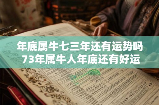 年底属牛七三年还有运势吗 73年属牛人年底还有好运吗