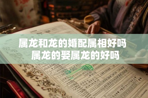 属龙和龙的婚配属相好吗 属龙的娶属龙的好吗 属龙和龙的婚配属相好吗 属龙的娶属龙的好吗