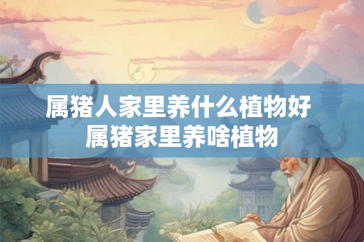 属猪人家里养什么植物好 属猪家里养啥植物