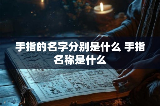 手指的名字分别是什么 手指名称是什么