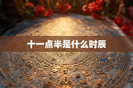 十一点半是什么时辰