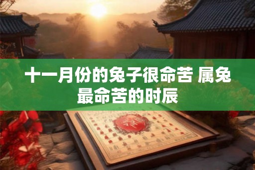 十一月份的兔子很命苦 属兔最命苦的时辰