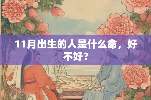 11月出生的人是什么命，好不好？
