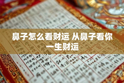 鼻子怎么看财运 从鼻子看你一生财运