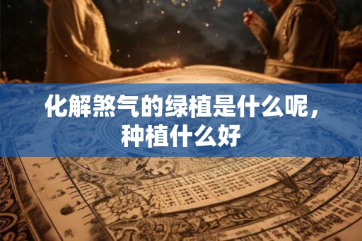 化解煞气的绿植是什么呢，种植什么好