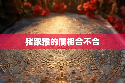 猪跟猴的属相合不合