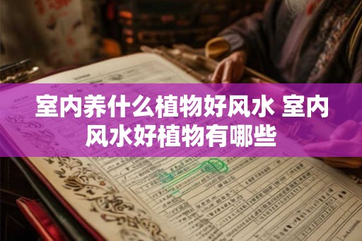 室内养什么植物好风水 室内风水好植物有哪些