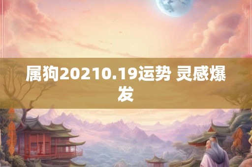 属狗20210.19运势 灵感爆发