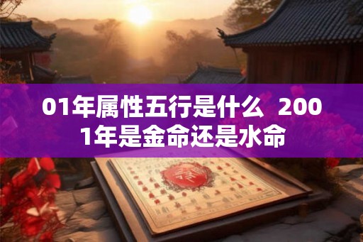 01年属性五行是什么  2001年是金命还是水命