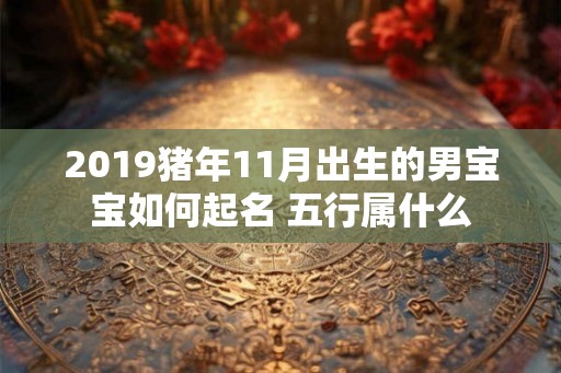 2019猪年11月出生的男宝宝如何起名 五行属什么