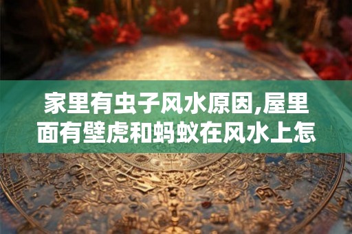家里有虫子风水原因,屋里面有壁虎和蚂蚁在风水上怎么讲