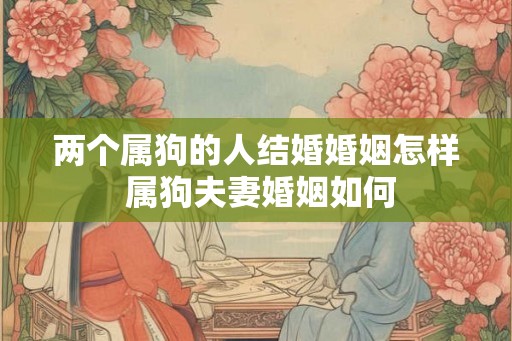 两个属狗的人结婚婚姻怎样 属狗夫妻婚姻如何