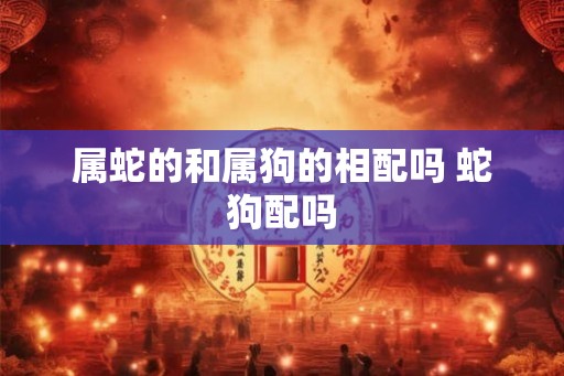 属蛇的和属狗的相配吗 蛇狗配吗