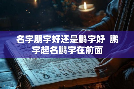 名字朋字好还是鹏字好  鹏字起名鹏字在前面