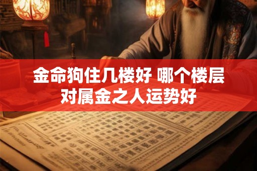 金命狗住几楼好 哪个楼层对属金之人运势好