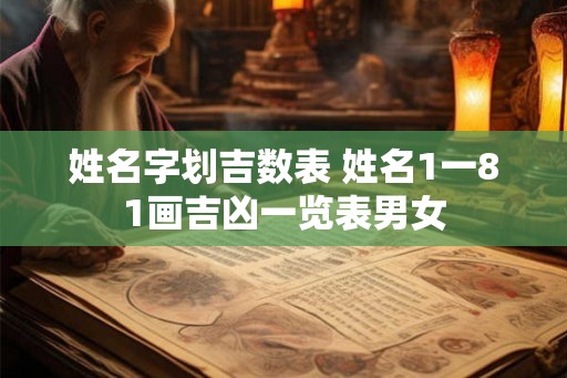 姓名字划吉数表 姓名1一81画吉凶一览表男女