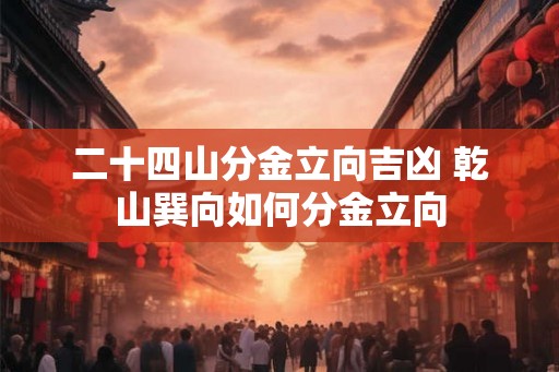 二十四山分金立向吉凶 乾山巽向如何分金立向