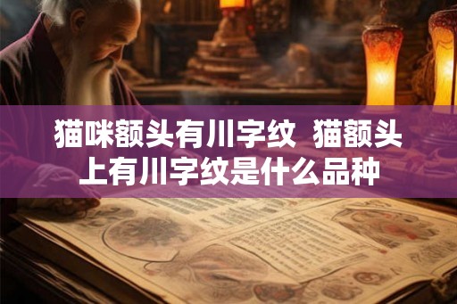 猫咪额头有川字纹  猫额头上有川字纹是什么品种