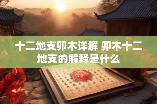 十二地支卯木详解 卯木十二地支的解释是什么