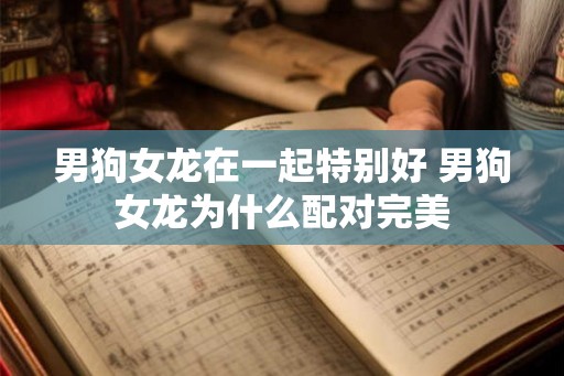 男狗女龙在一起特别好 男狗女龙为什么配对完美