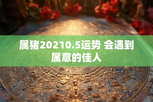 属猪20210.5运势 会遇到属意的佳人