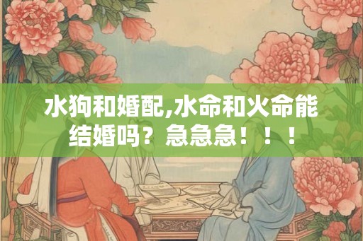 水狗和婚配,水命和火命能结婚吗？急急急！！！