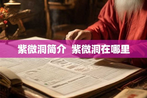紫微洞简介  紫微洞在哪里