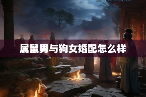 属鼠男与狗女婚配怎么样