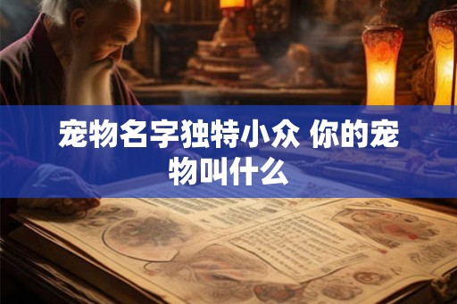 宠物名字独特小众 你的宠物叫什么