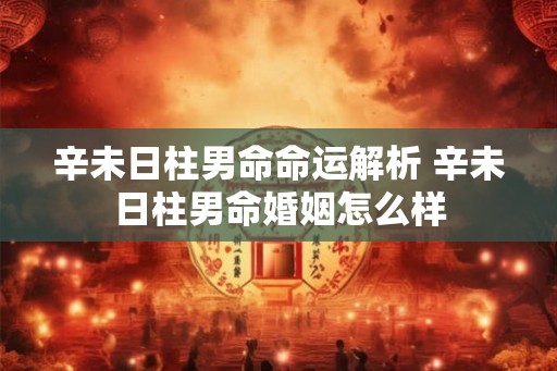 辛未日柱男命命运解析 辛未日柱男命婚姻怎么样 辛未日柱男命命运解析 辛未日柱男命婚姻怎么样