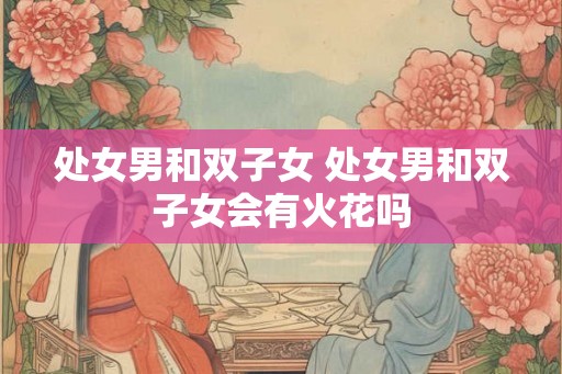 处女男和双子女 处女男和双子女会有火花吗