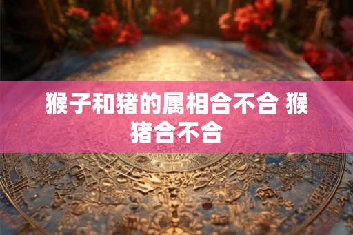 猴子和猪的属相合不合 猴猪合不合 猴子和猪的属相合不合 猴猪合不合