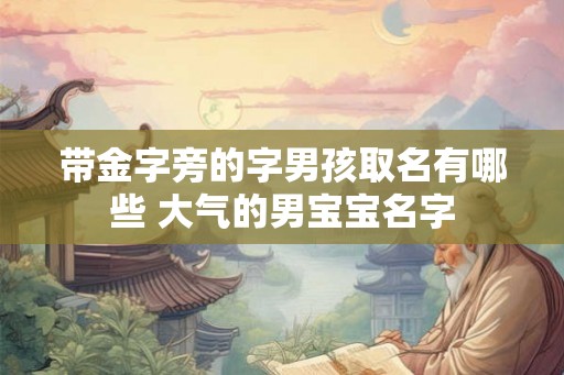 带金字旁的字男孩取名有哪些 大气的男宝宝名字 带金字旁的字男孩取名有哪些 大气的男宝宝名字