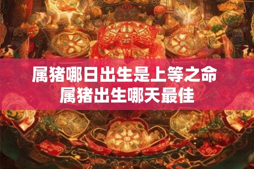属猪哪日出生是上等之命 属猪出生哪天最佳
