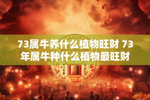 73属牛养什么植物旺财 73年属牛种什么植物最旺财