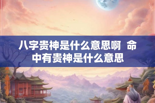 八字贵神是什么意思啊  命中有贵神是什么意思