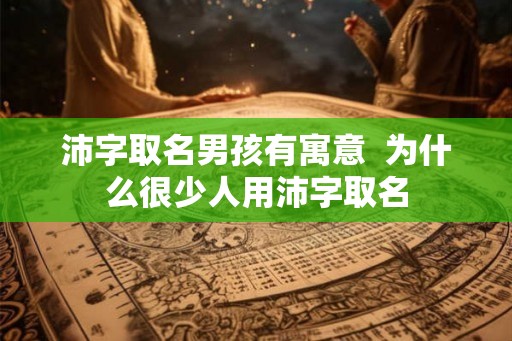 沛字取名男孩有寓意  为什么很少人用沛字取名