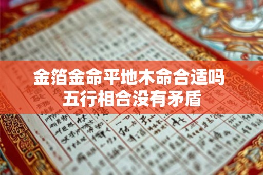 金箔金命平地木命合适吗 五行相合没有矛盾