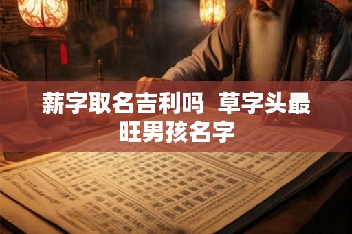 薪字取名吉利吗  草字头最旺男孩名字