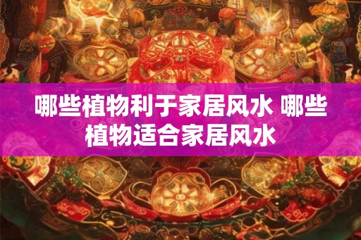 哪些植物利于家居风水 哪些植物适合家居风水